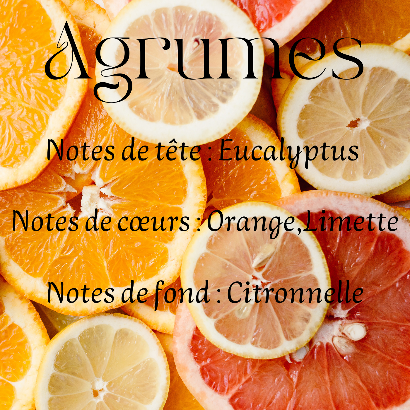 Fondants parfumés Gourmand & Fruités