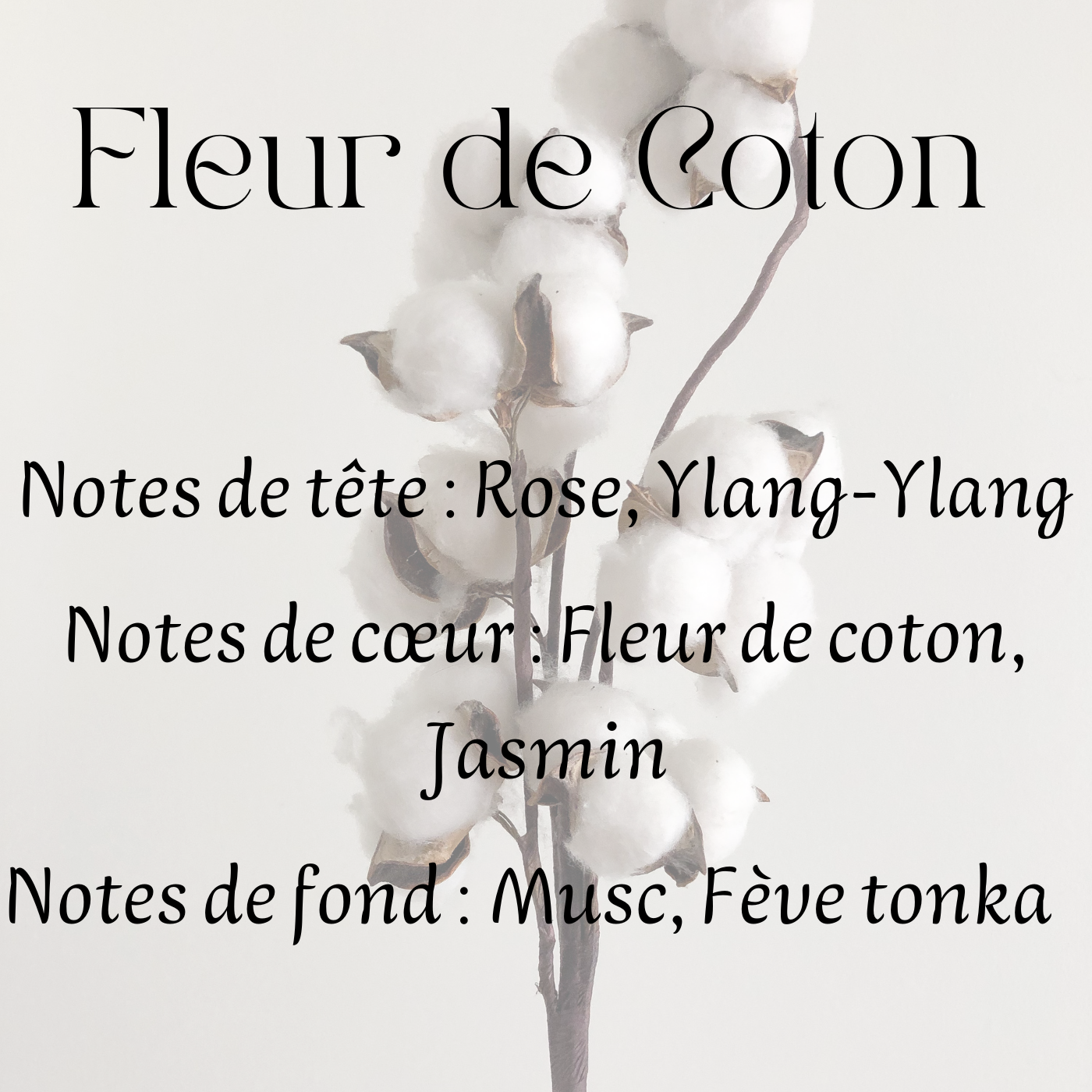 Fondants parfumés Cocooning