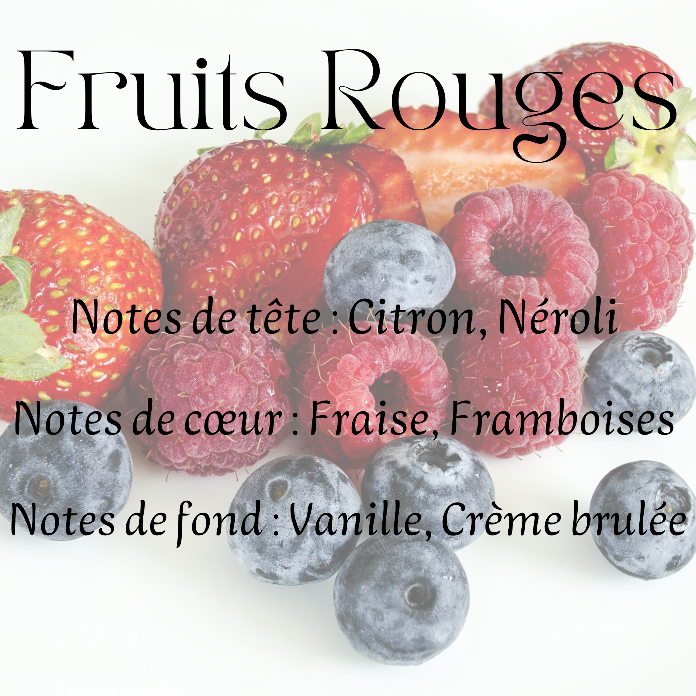 Fondants parfumés Gourmand & Fruités