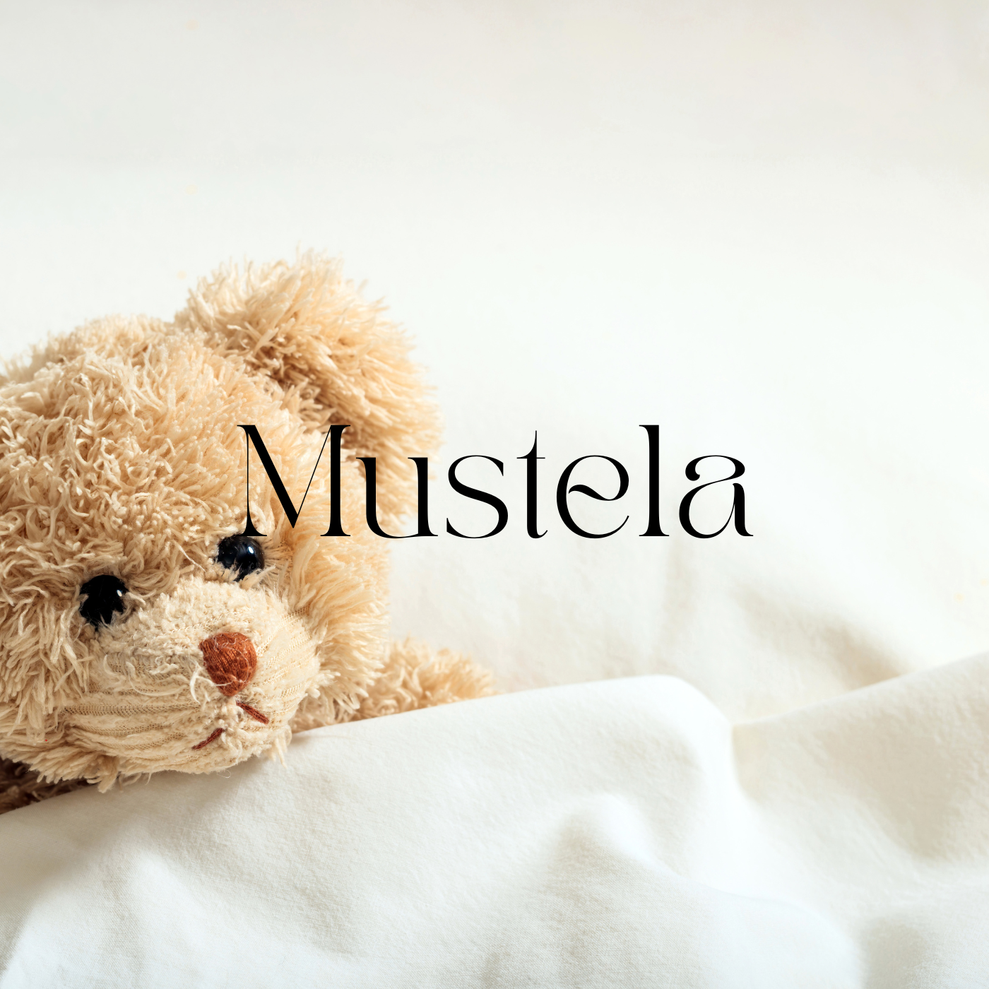 Fondants parfumés Cocooning