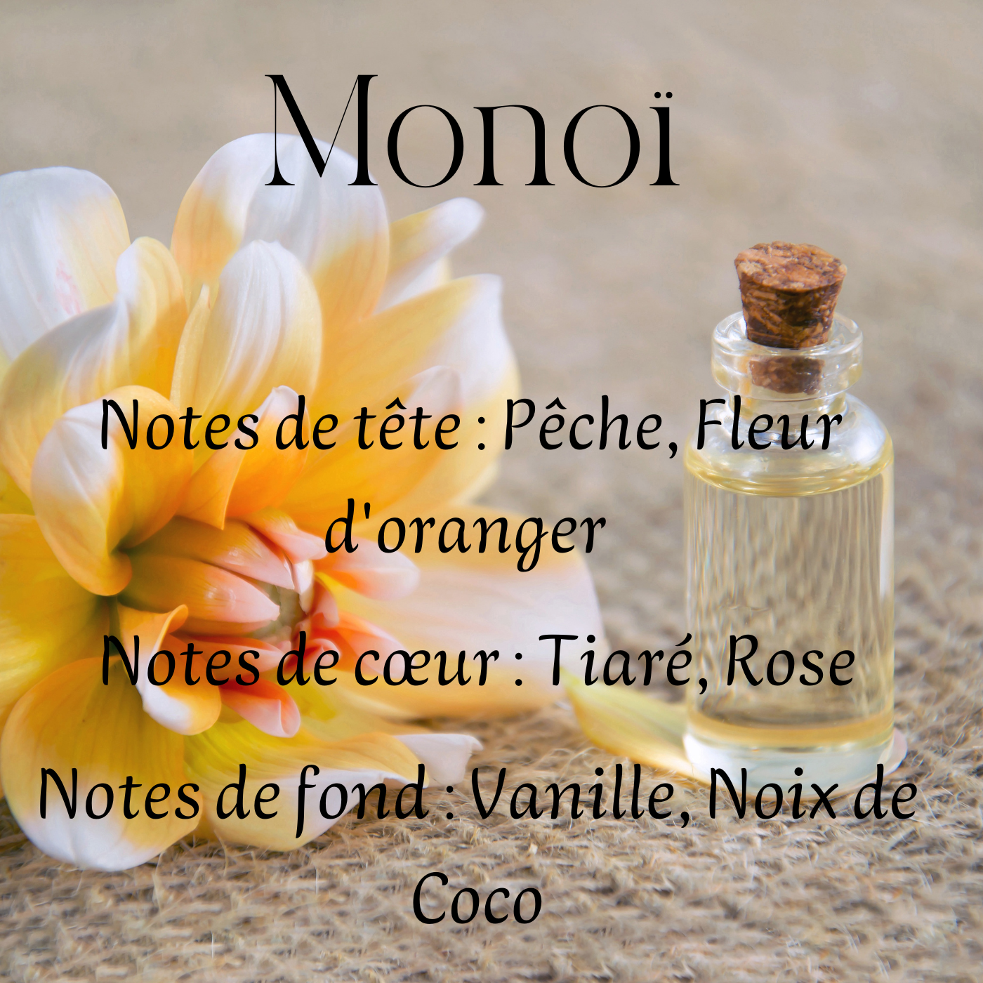 Fondants parfumés Cocooning