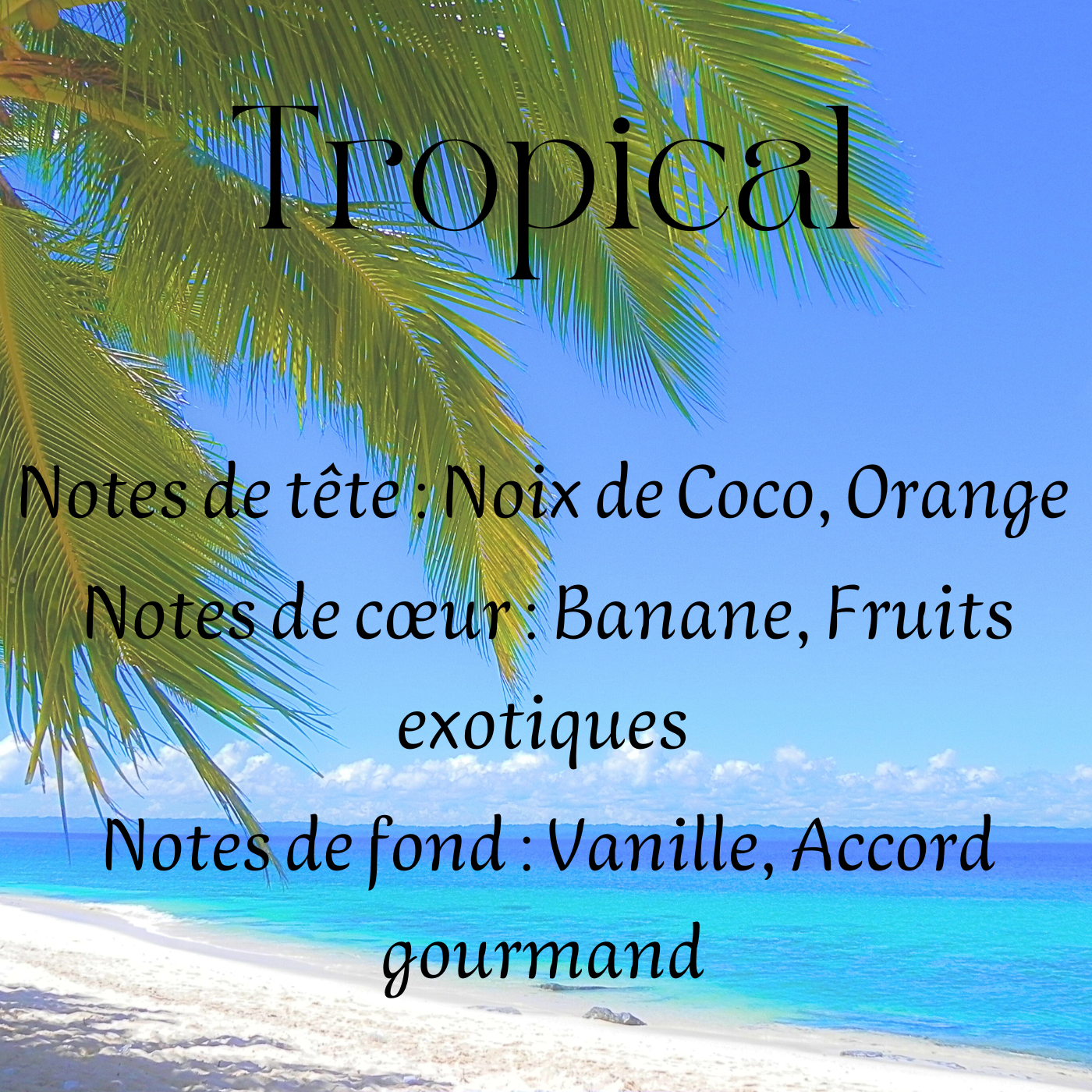 Fondants parfumés Gourmand & Fruités