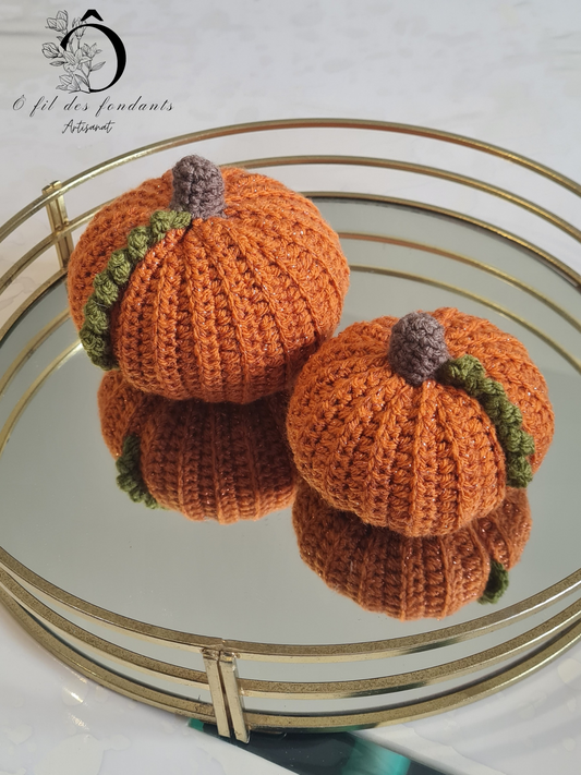 2 Citrouilles Décoratives