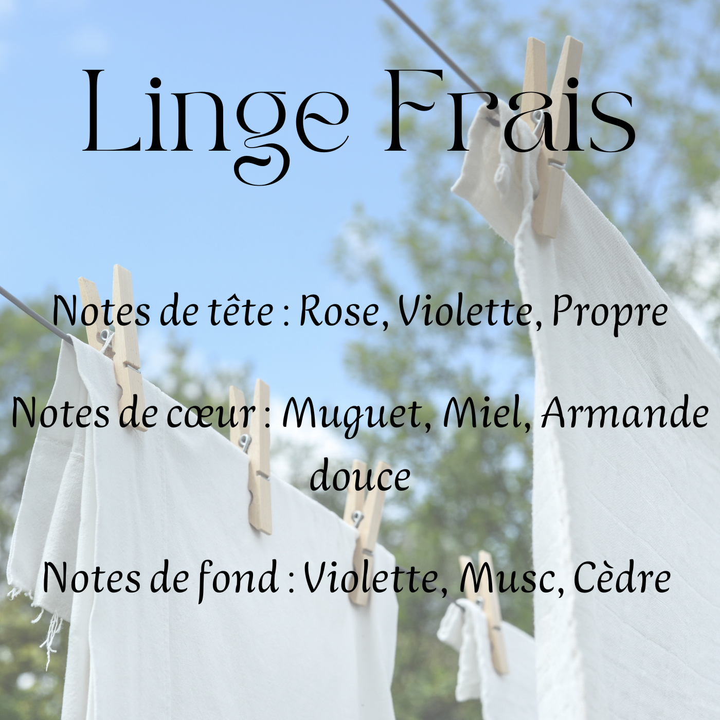 Fondants parfumés Cocooning