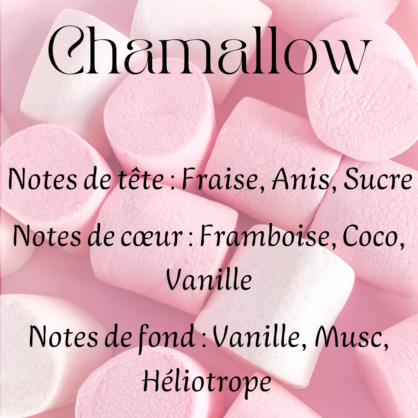 Fondants parfumés Gourmand & Fruités