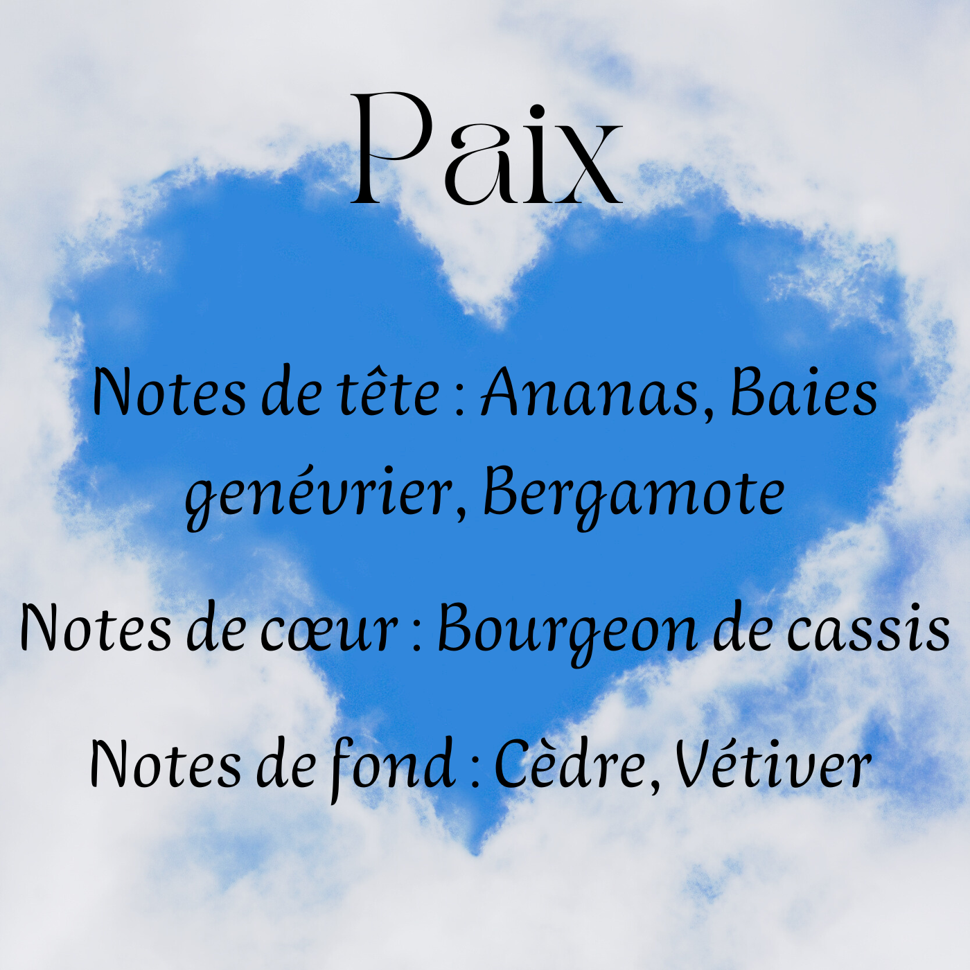 Fondants parfumés Cocooning