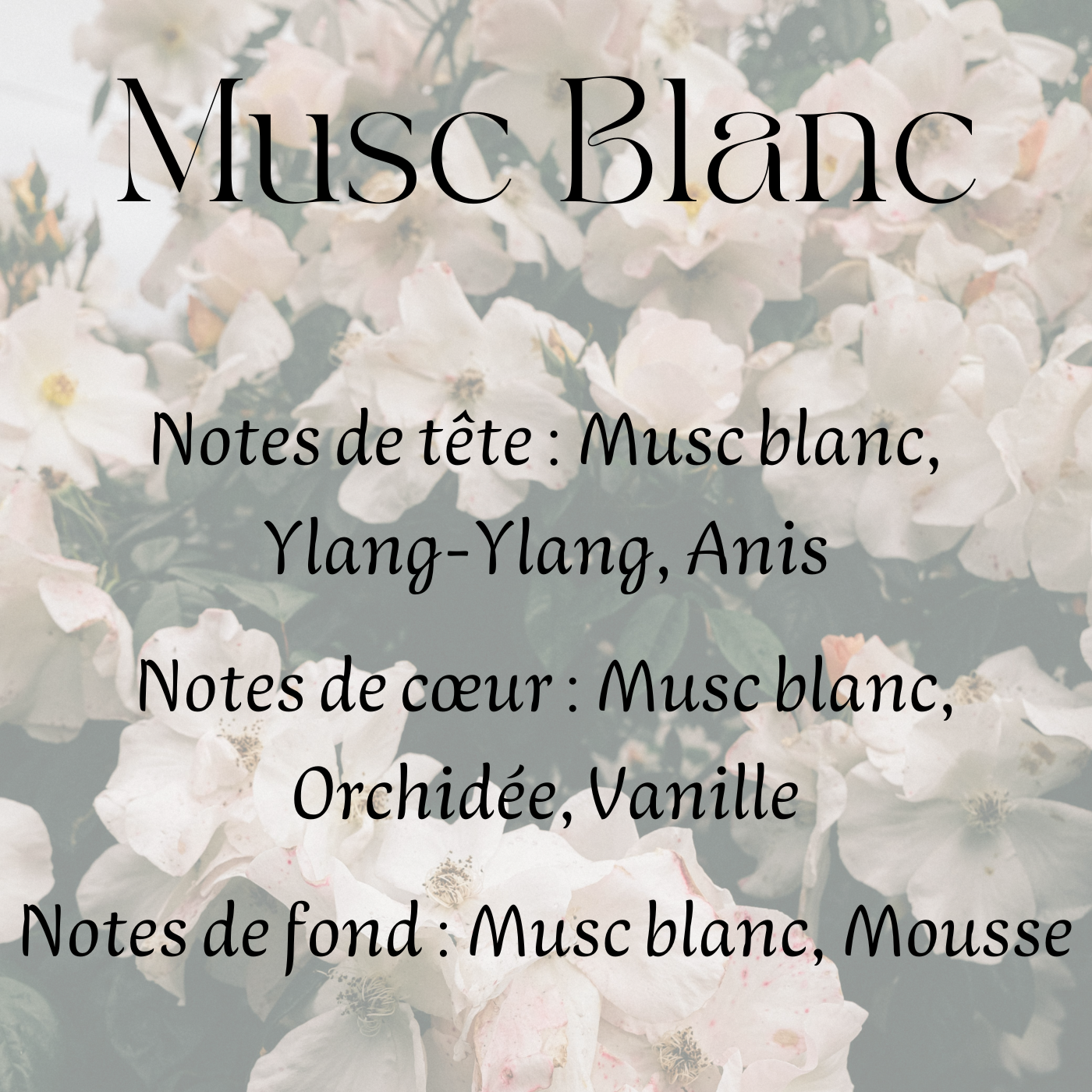 Fondants parfumés Cocooning