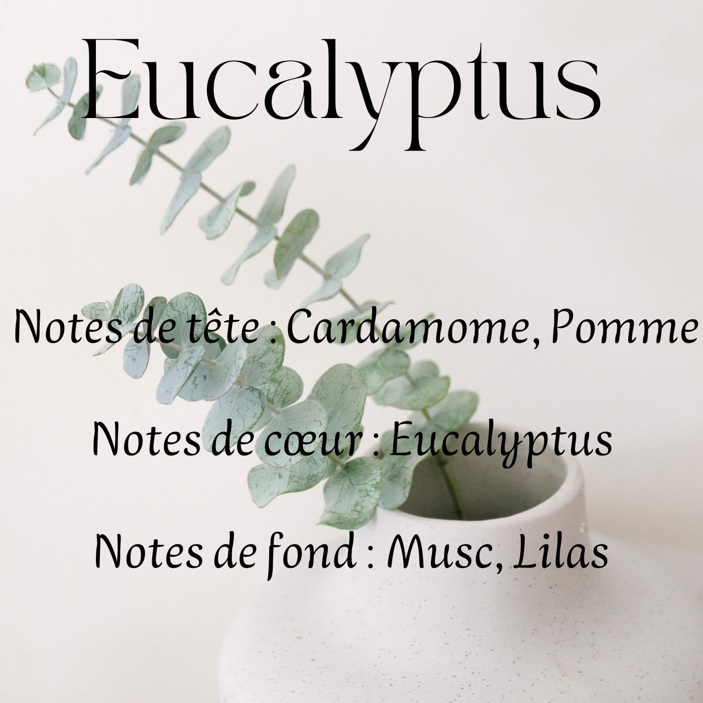 Fondants parfumés Fleuri