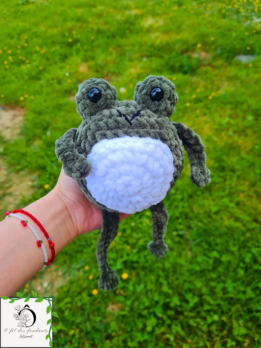 Peluche Grenouille 🌱