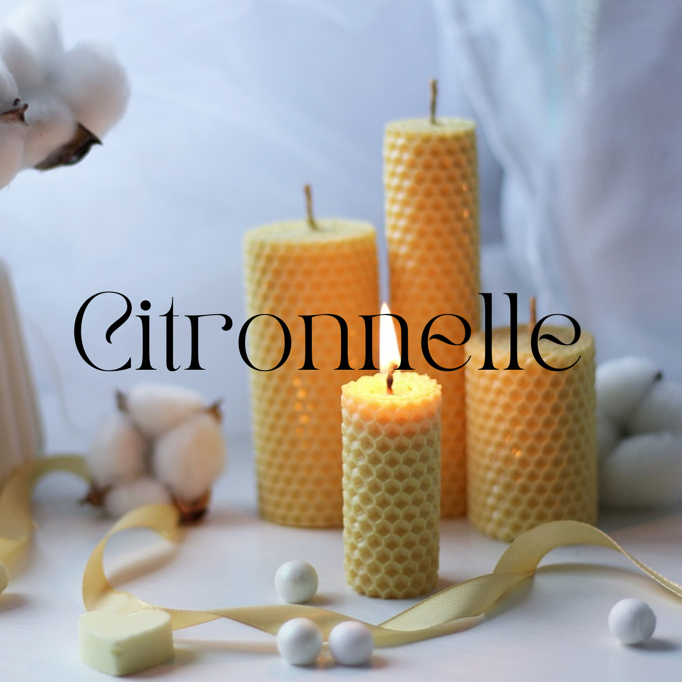 Fondants parfumés Fleuri