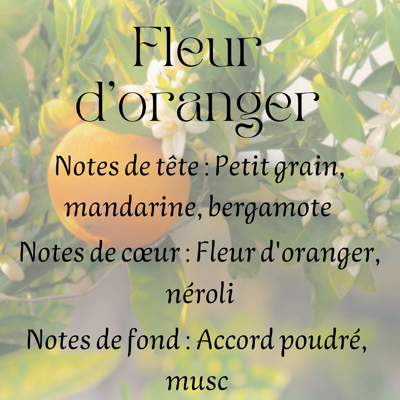 Fondants parfumés Gourmand & Fruités