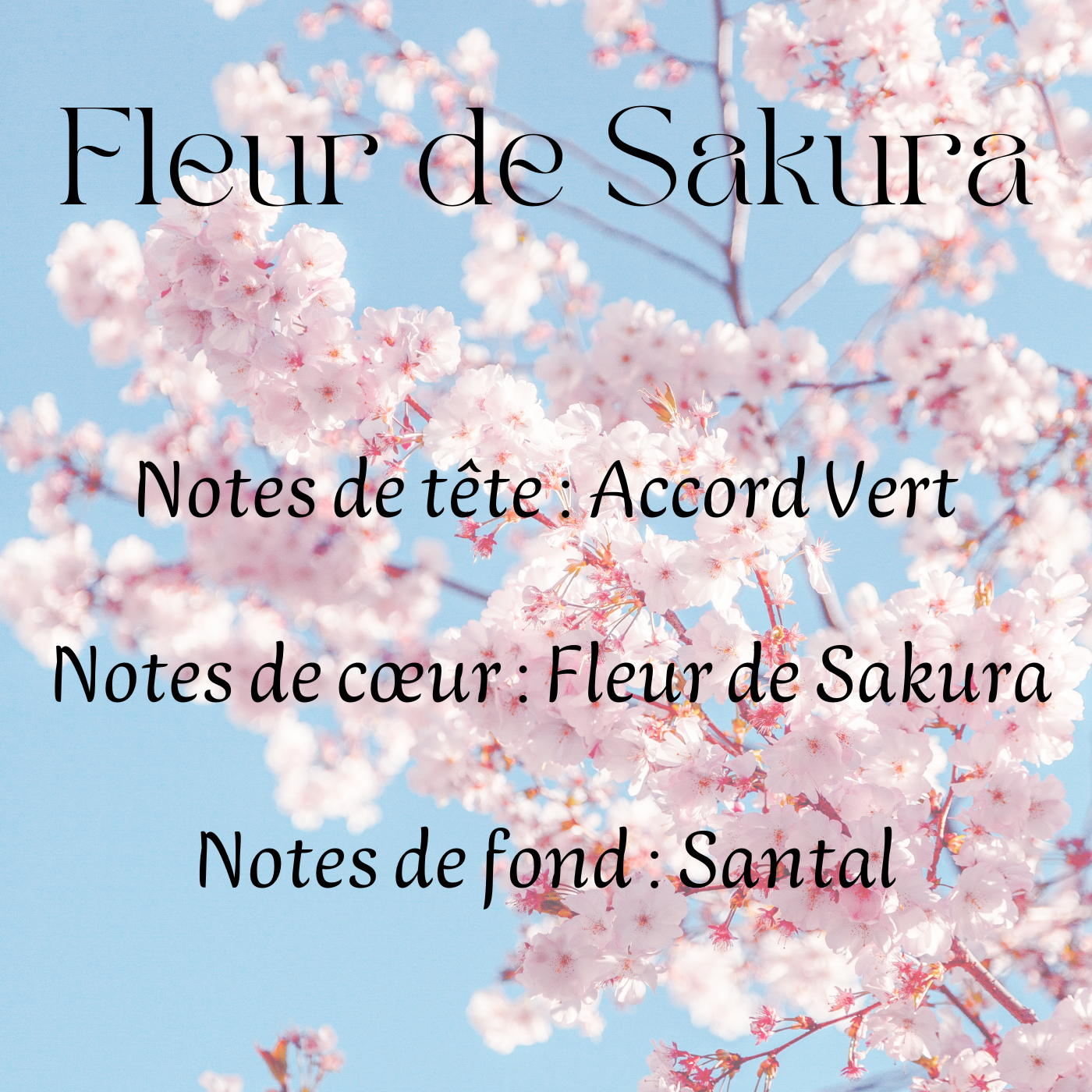 Fondants parfumés Fleuri