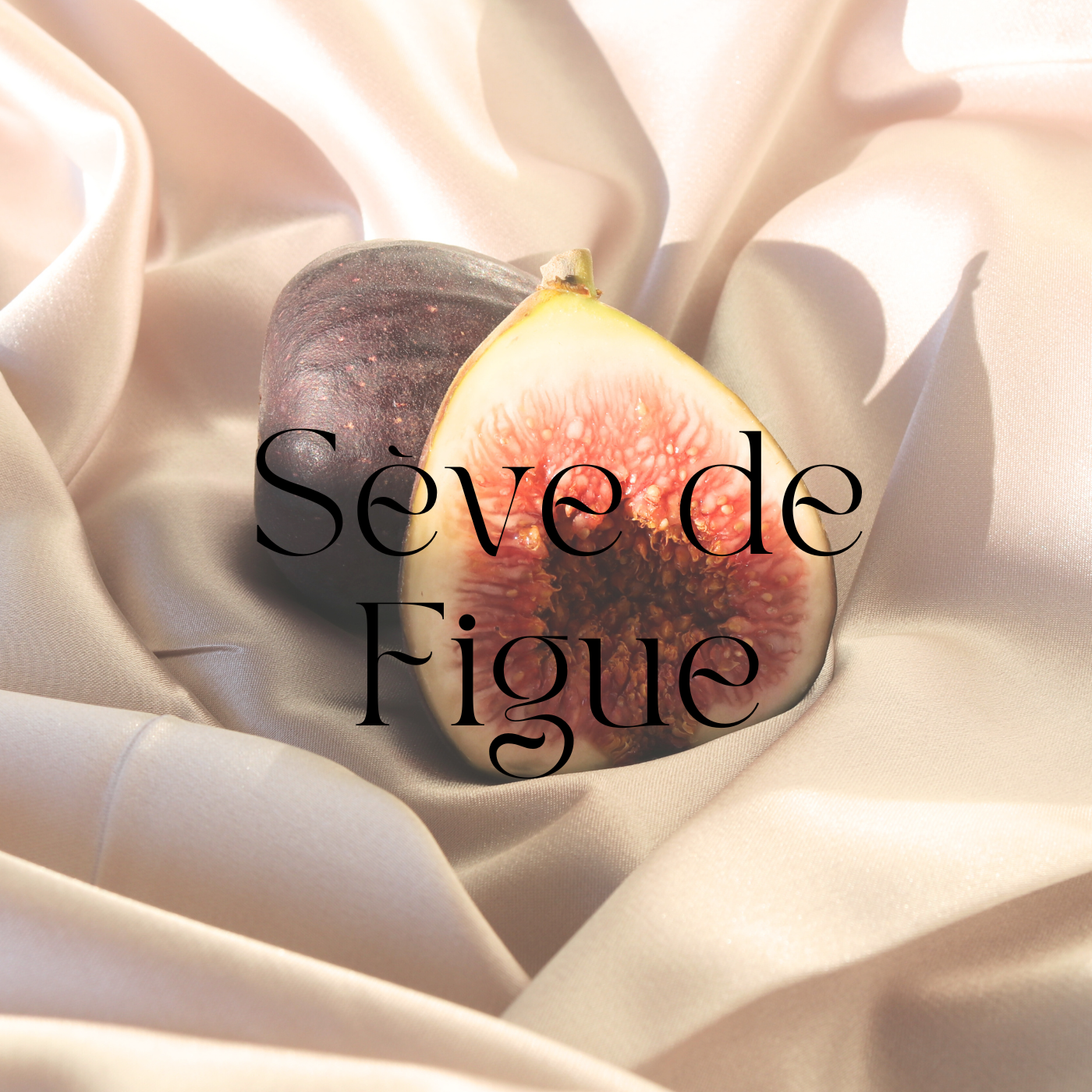 Fondants parfumés Fleuri