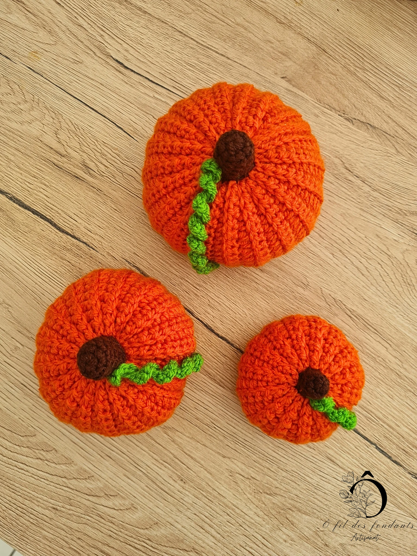 Citrouilles Décoratives