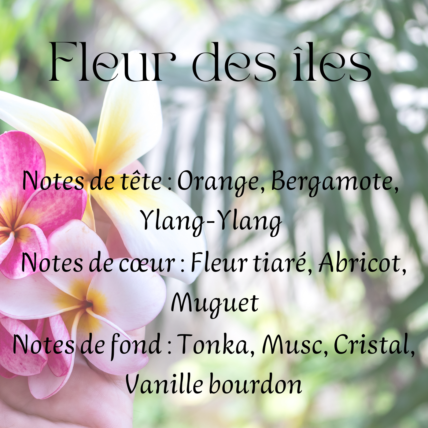 Fondants parfumés Fleuri
