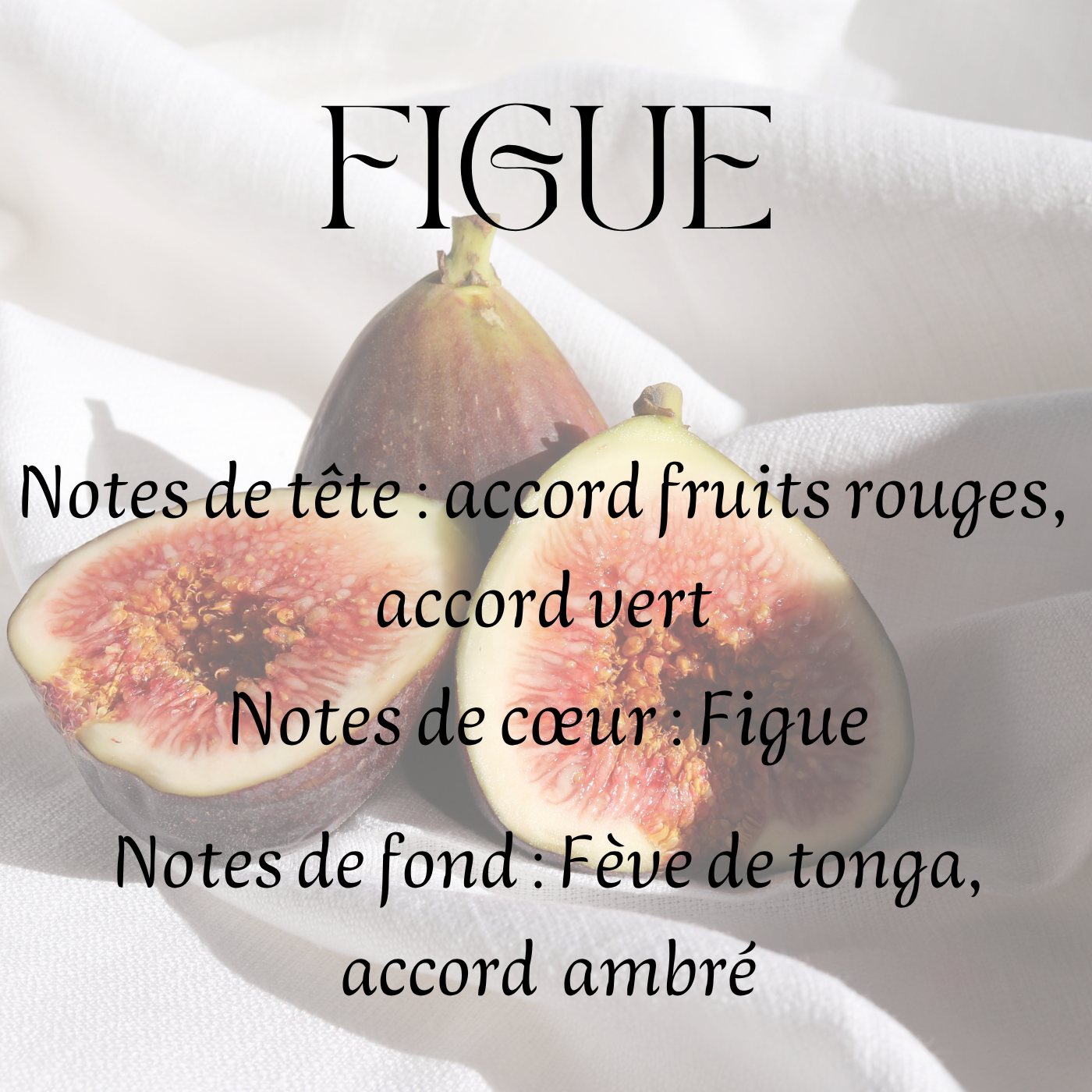 Fondants parfumés Gourmand & Fruités